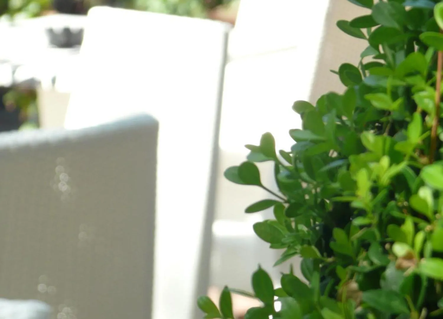 ***  Hotel Flora Milano Marittima Italien